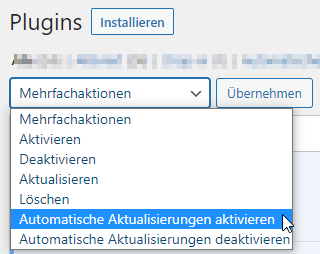 Screenshot von der WordPress-Funktion "Automatische Aktualisierungen aktivieren"