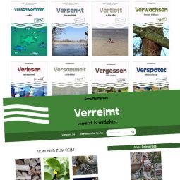 anne-reimerdes-verreimt anne-reimerdes-verreimt